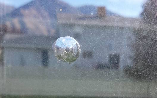 (Photo: Heidi Rowberry Pepinos)