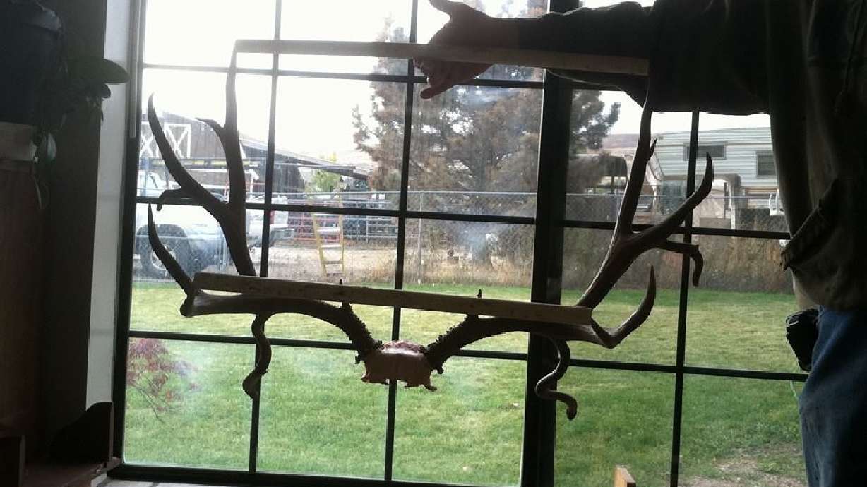 Bluffdale man convicted of killing unique trophy buck asks for new trial