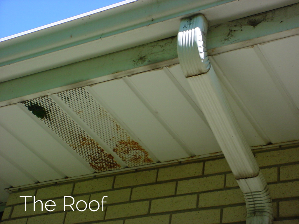 5 must-do tasks for every homeowner — before winter comes