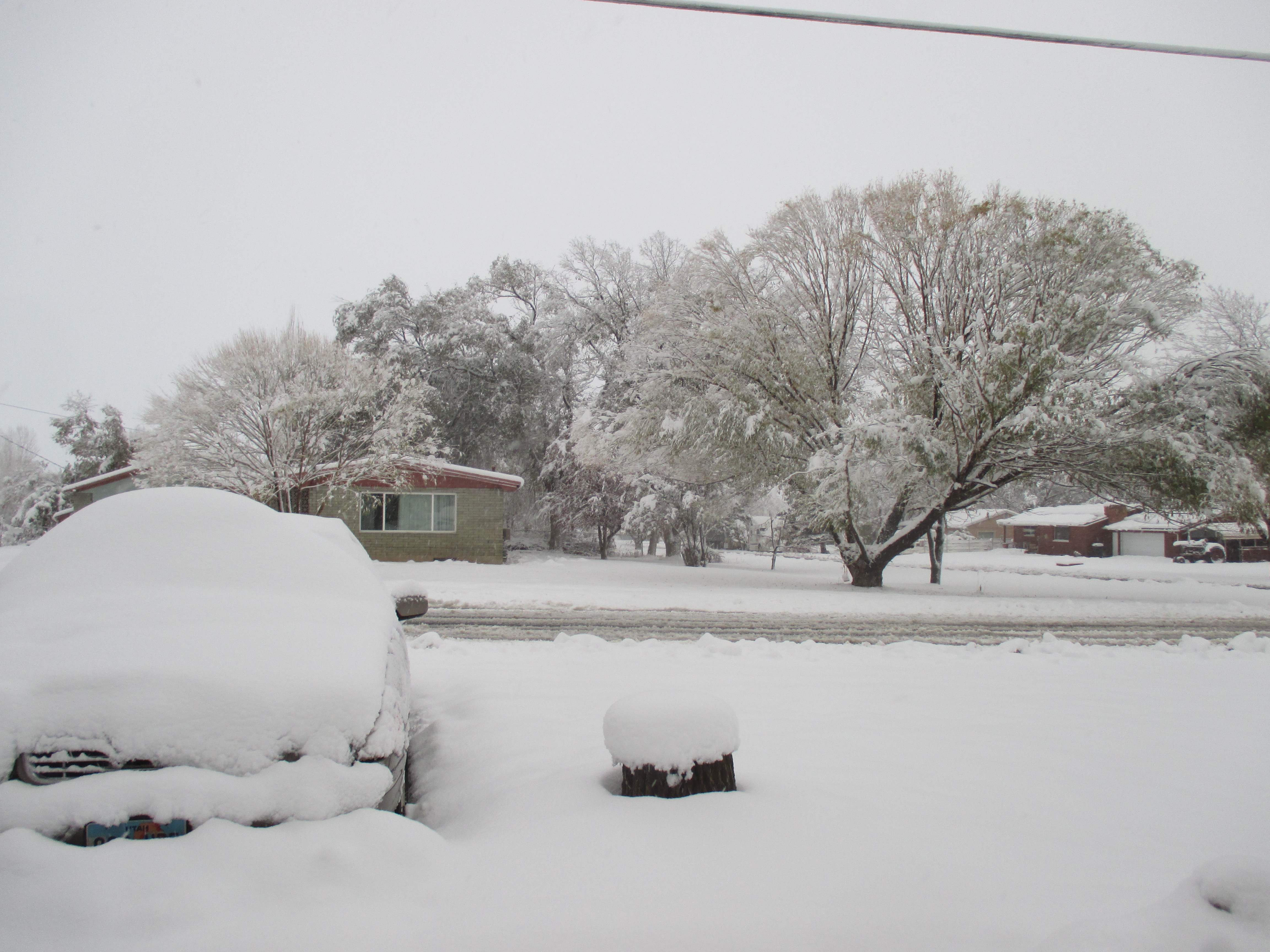 Snow all day: It was snowing when we awoke this morning and it is still snowing now at 5:00 pm . We have about 12 inches in Mount Pleasant, Utah. (Photo: Sylvia Healey) (Submitted using iWitness)