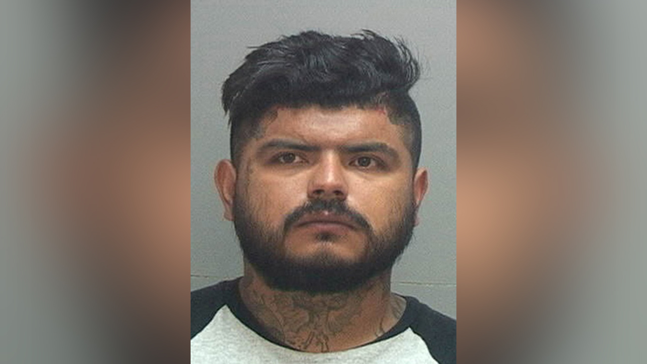 Man accused of beating girlfriend, trying to put her in oven pleads guilty