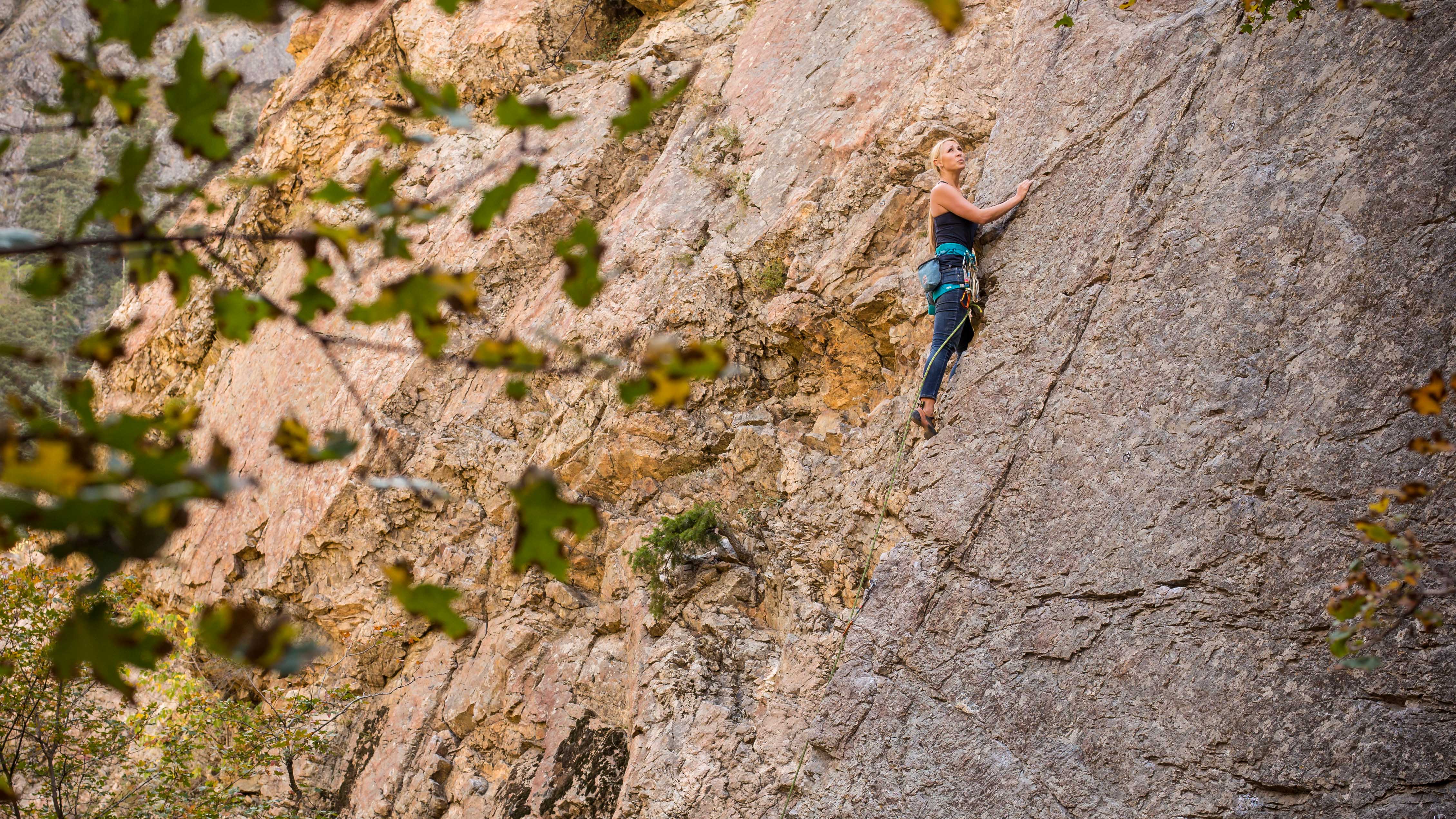 (Image: Aly Nicklas)