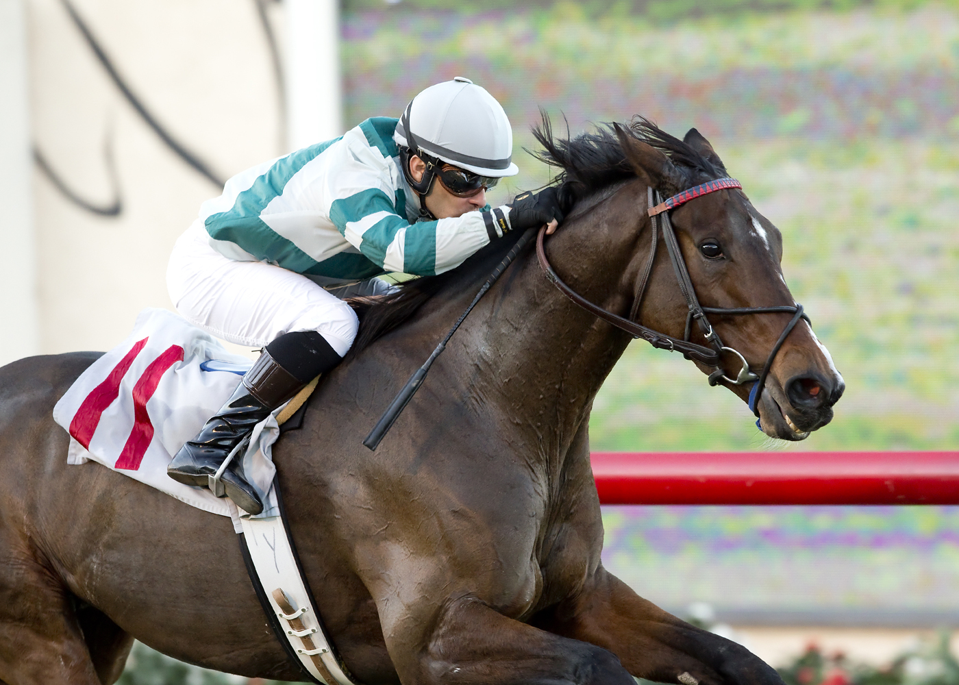 Rusty Slipper wins Red Carpet Stakes at Del Mar