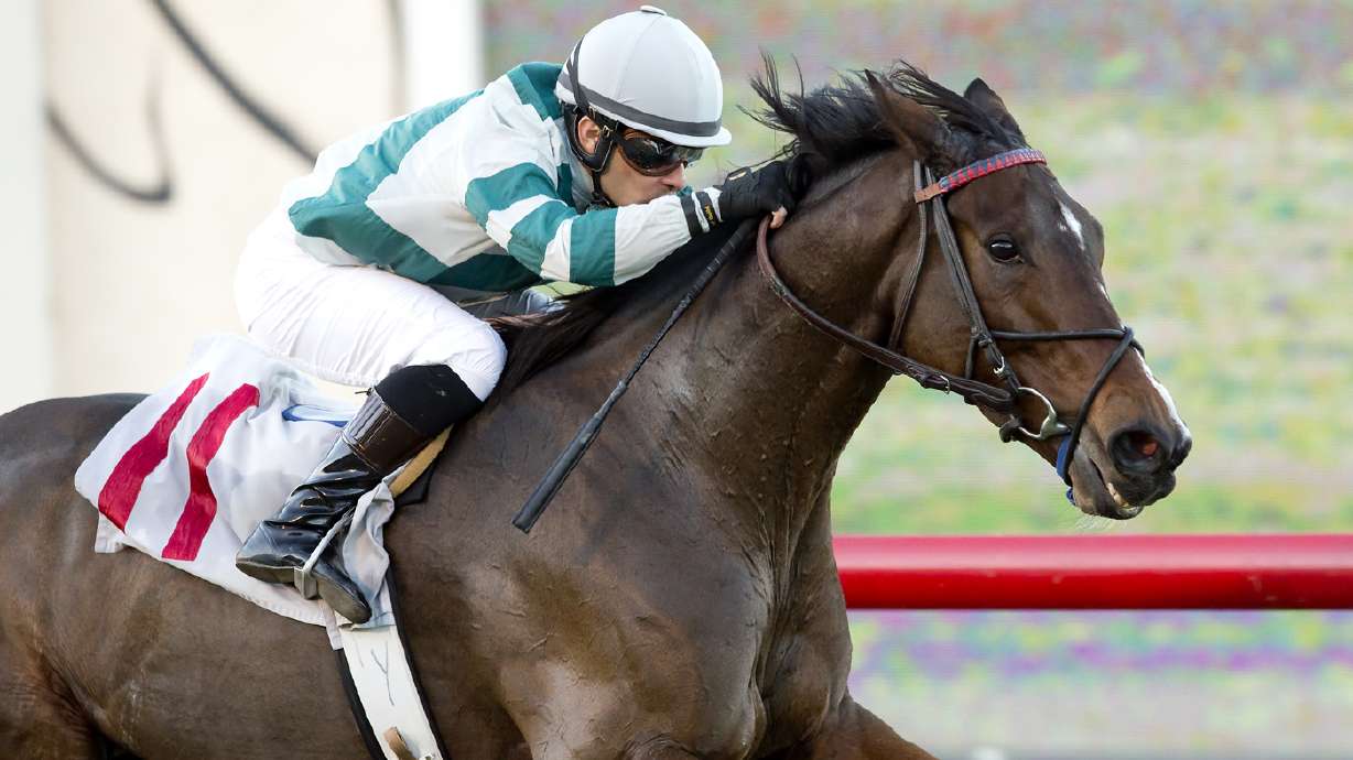 Rusty Slipper wins Red Carpet Stakes at Del Mar