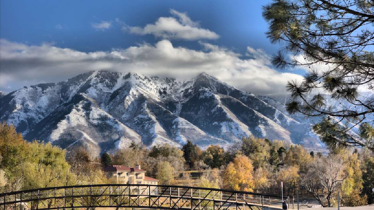 User submitted photos: Fall's last hurrah