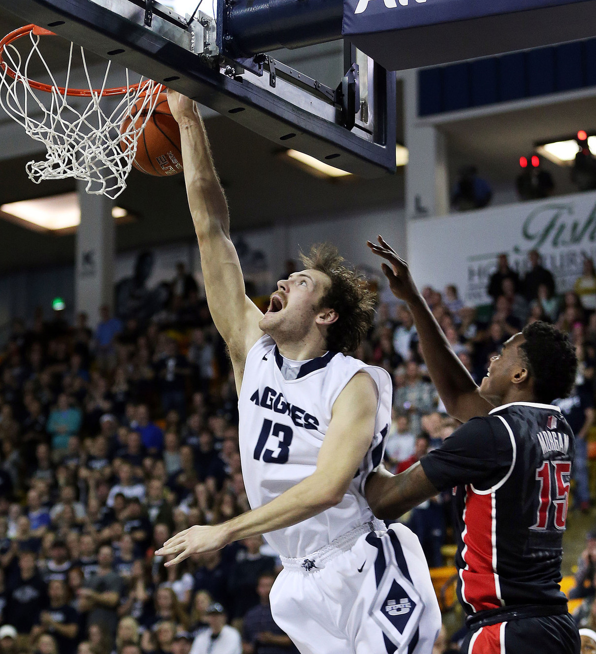 Utah State denies transfer of forward David Collette
