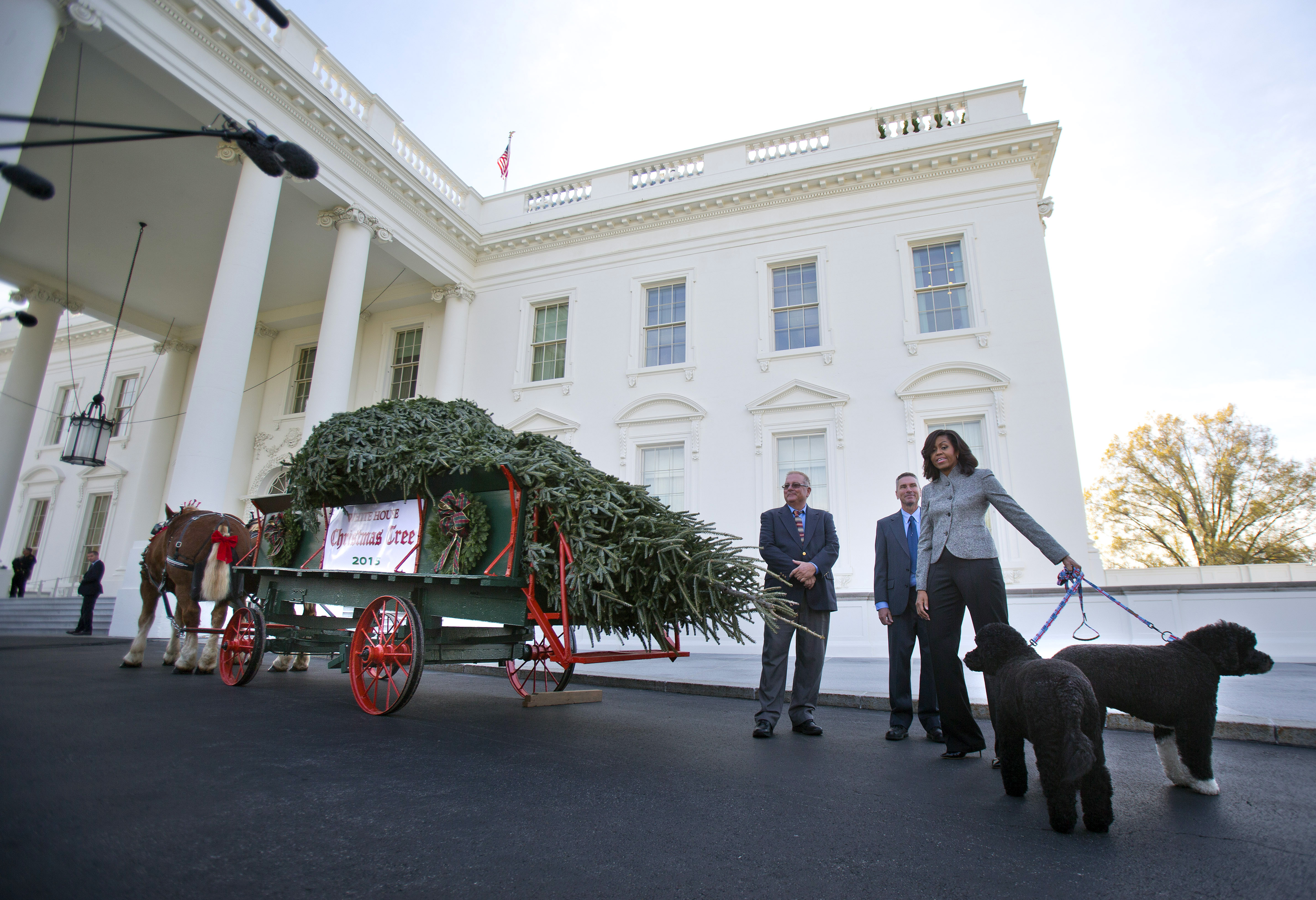 White House Christmas tree arrives from Pennsylvania