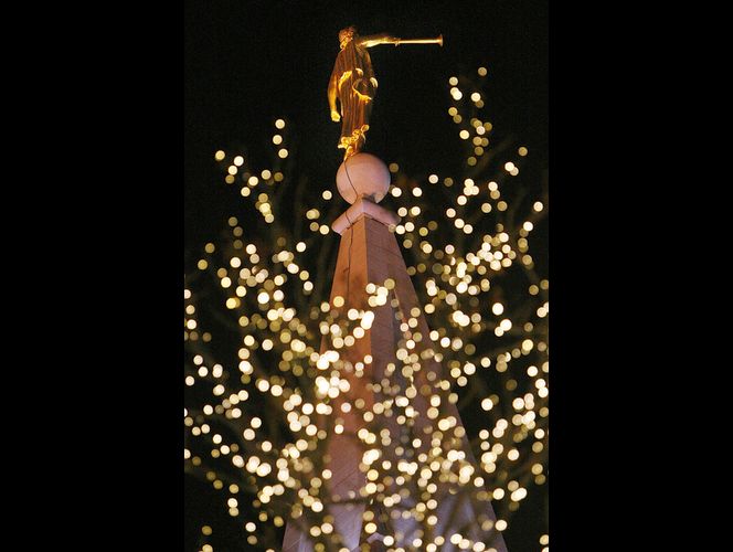 Las luces de Navidad de la Manzana del Templo le dan inicio a la temporada festiva 