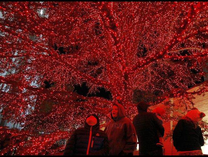 Las luces de Navidad de la Manzana del Templo le dan inicio a la temporada festiva 