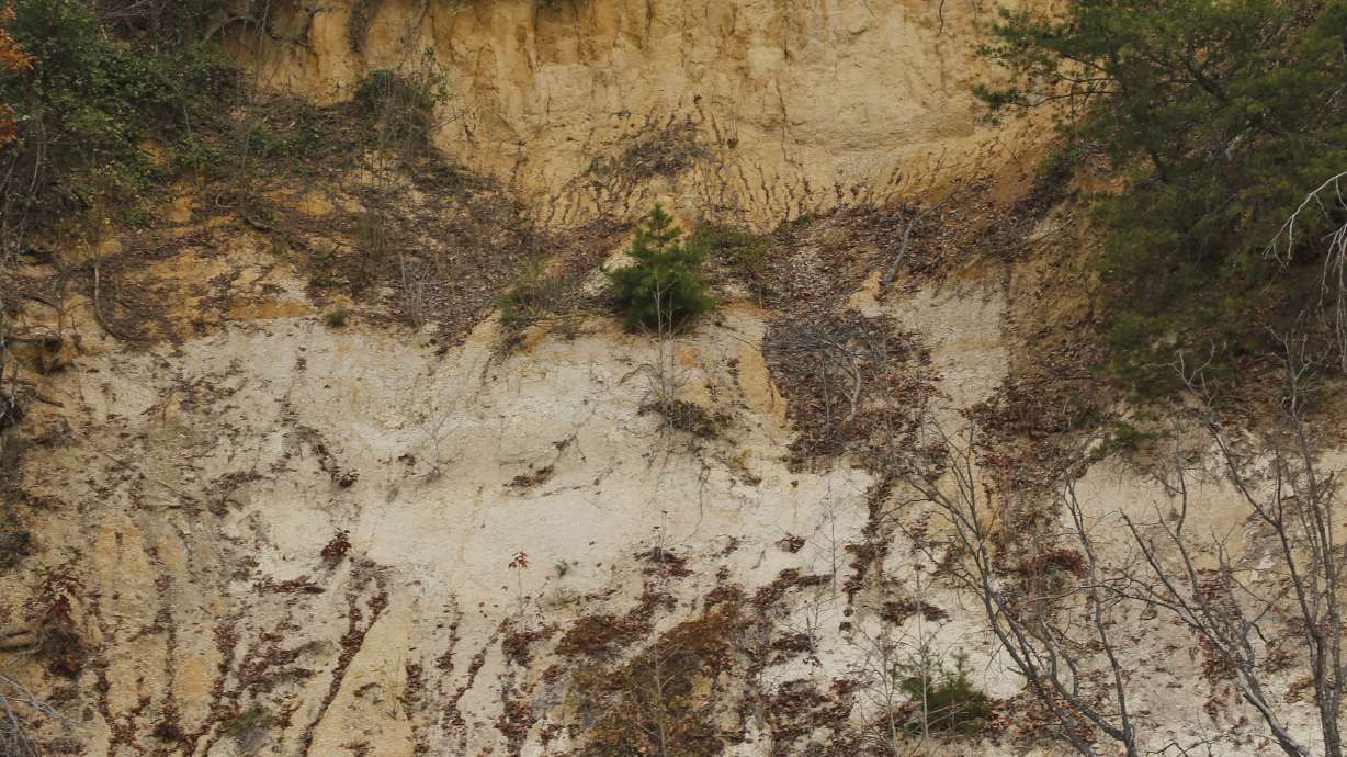 A proposed luxury resort where eagles soar stirs anger