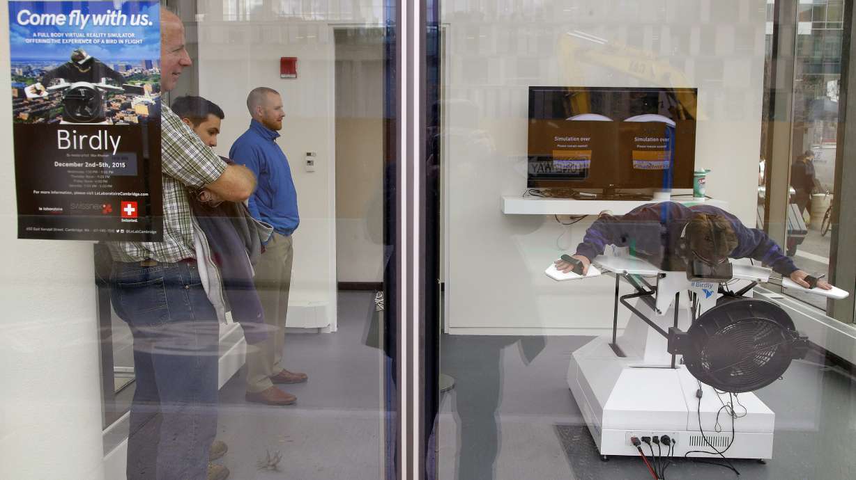 Dream of being a bird? Flight simulator can bring you close