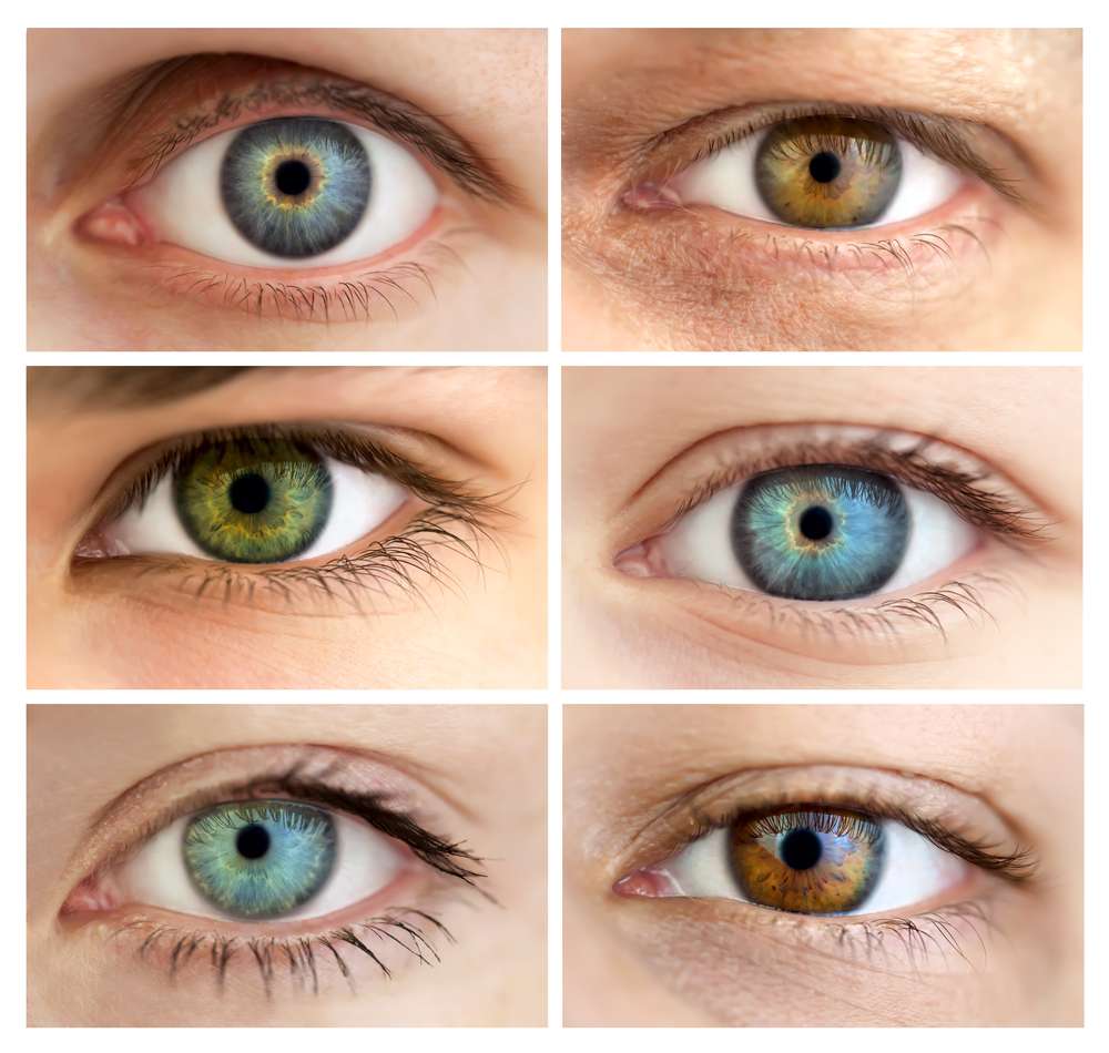 No two eyes have exactly the same iris patterns. (Photo: Taiga/Shutterstock)