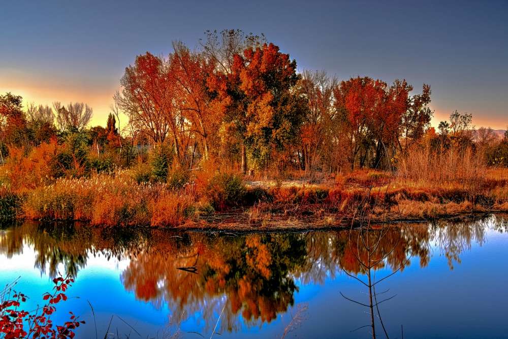 Photo Credit: Cole Gleave