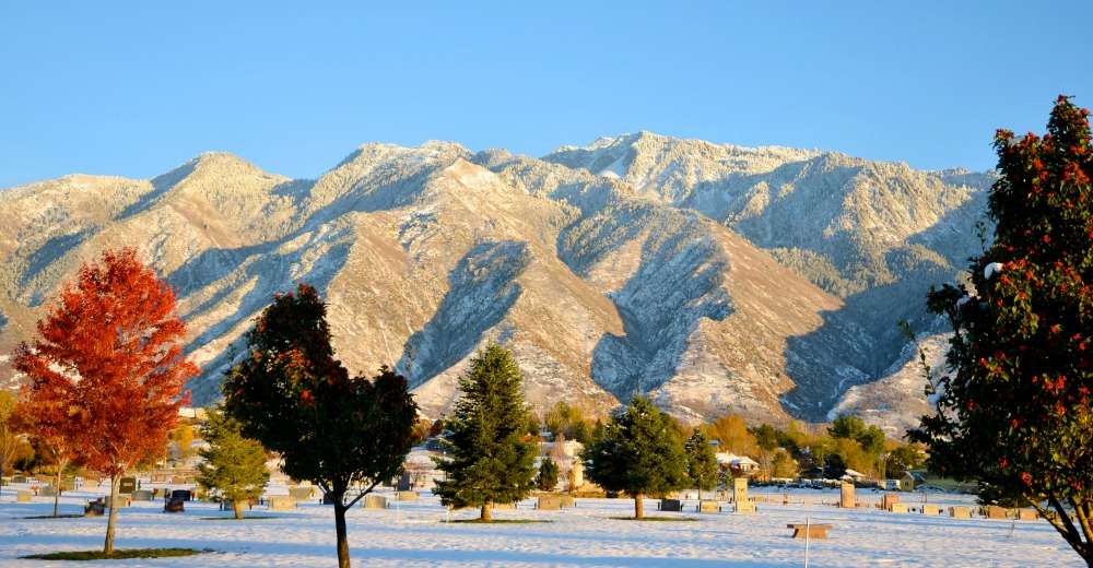 Photo Credit: Wayne Ware