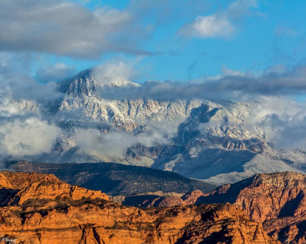 Photo Credit: Felicia Griswold