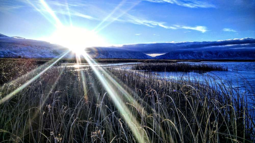 Photo Credit: Jim Huber