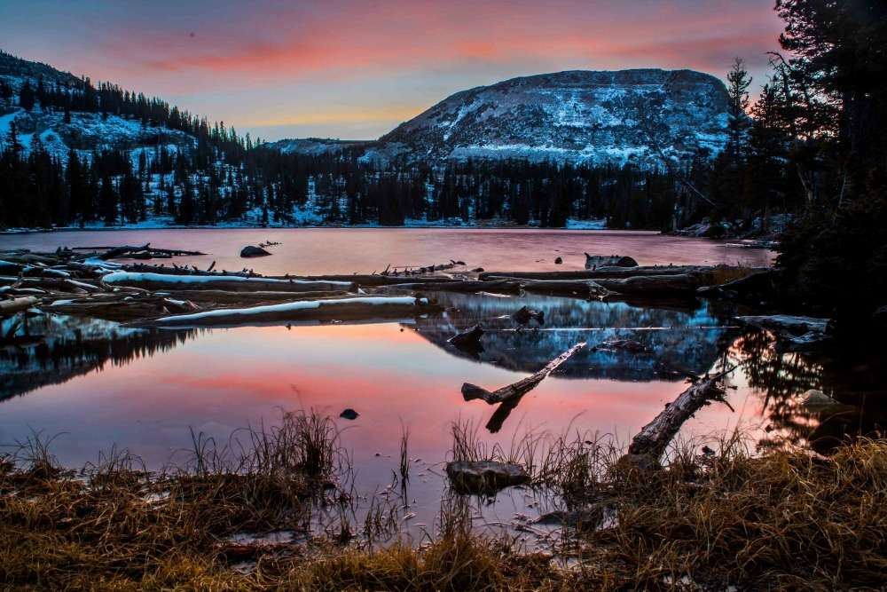 Photo Credit: Emily Jeppson