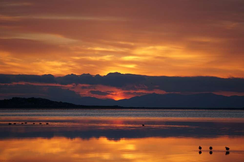 Photo Credit: Grant Hanson