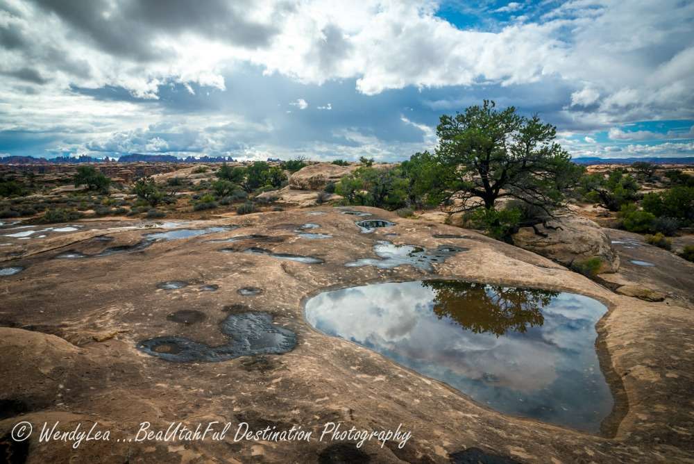 Photo Credit: Wendy Casey