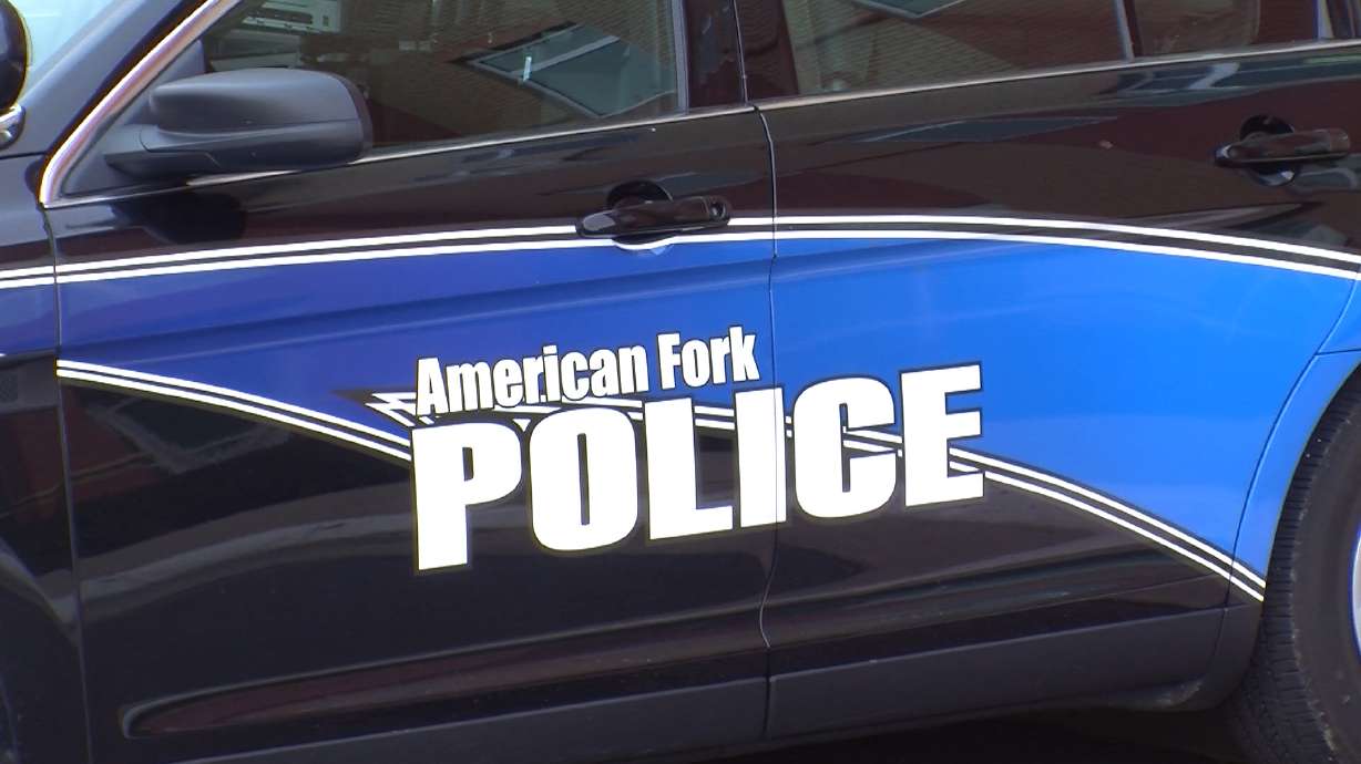 A moped driver died after he was struck by a vehicle on Saturday night.