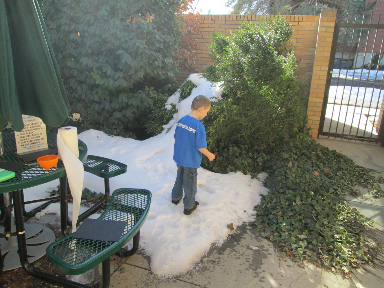 A child gathers snowflakes to see them up close in a microscope. (Photo: Carrie Rogers-Whitehead)