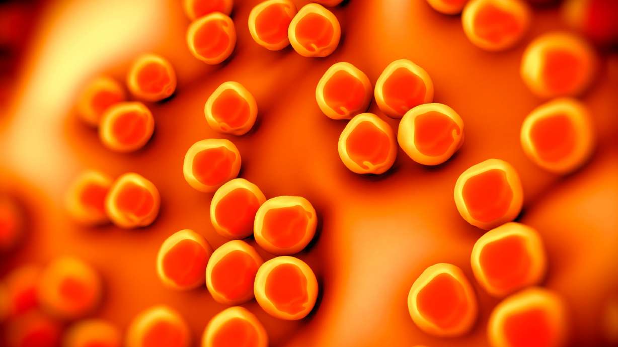 CDC: Dangerous 'phantom menace' superbug on the rise in the U.S.