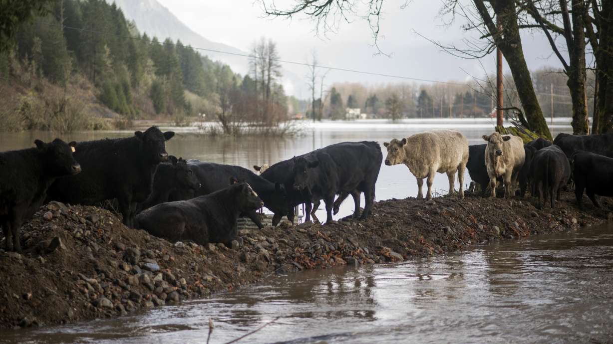 The Latest: Oregon gov. declares state of emergency