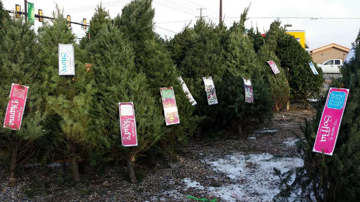 Christmas tree lot brings sentiment to Utah homes
