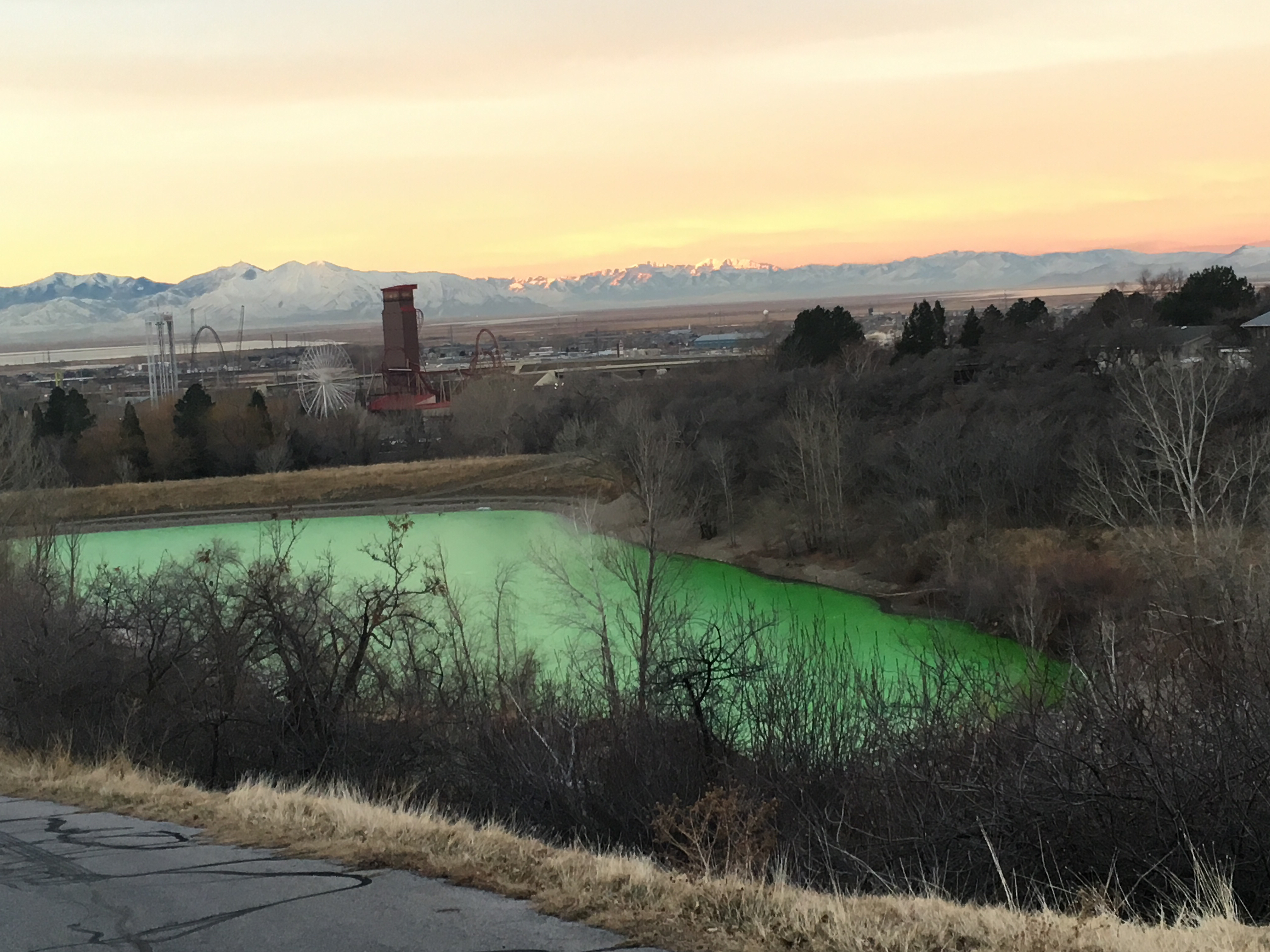 Suspected prank turns Farmington Pond bright green