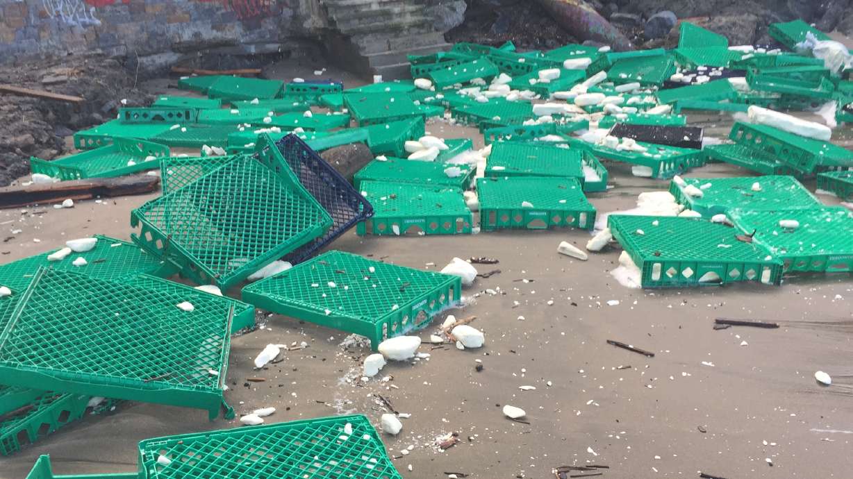 Shipping container debris washes ashore at SF beach