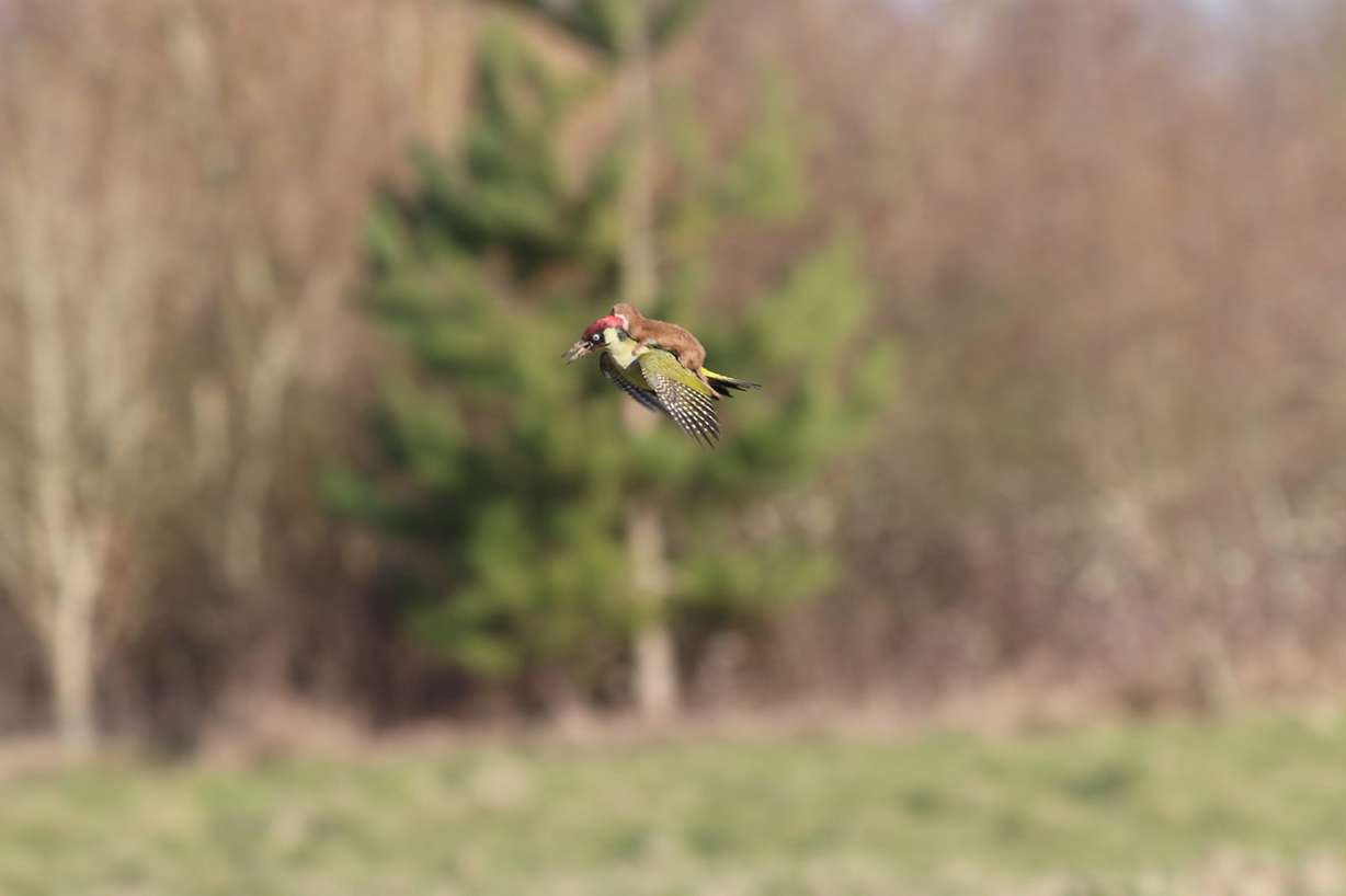 Photo: Martin Le-May