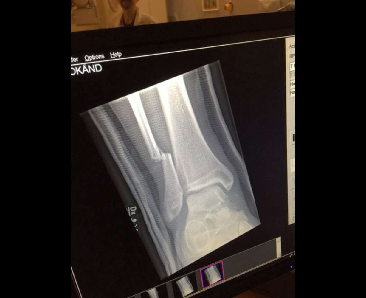 Photo: Foo Fighters.com