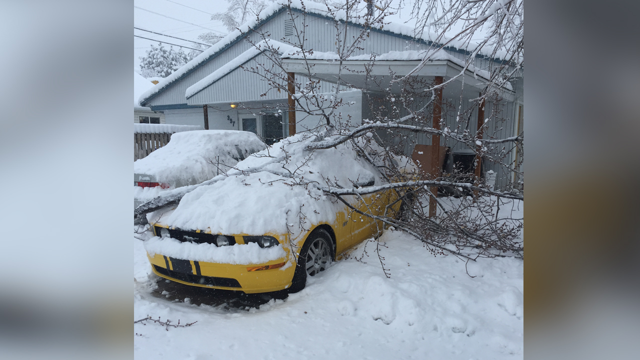User submitted photos: Utah's record snowstorm
