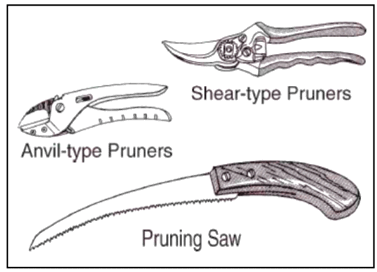 Ask an Expert: Pruners Make a Great Gift for Gardeners