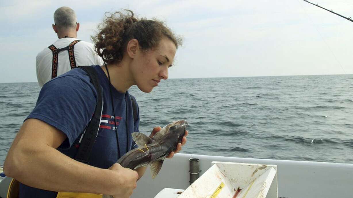 Fish food for thought: New research affects catch limits