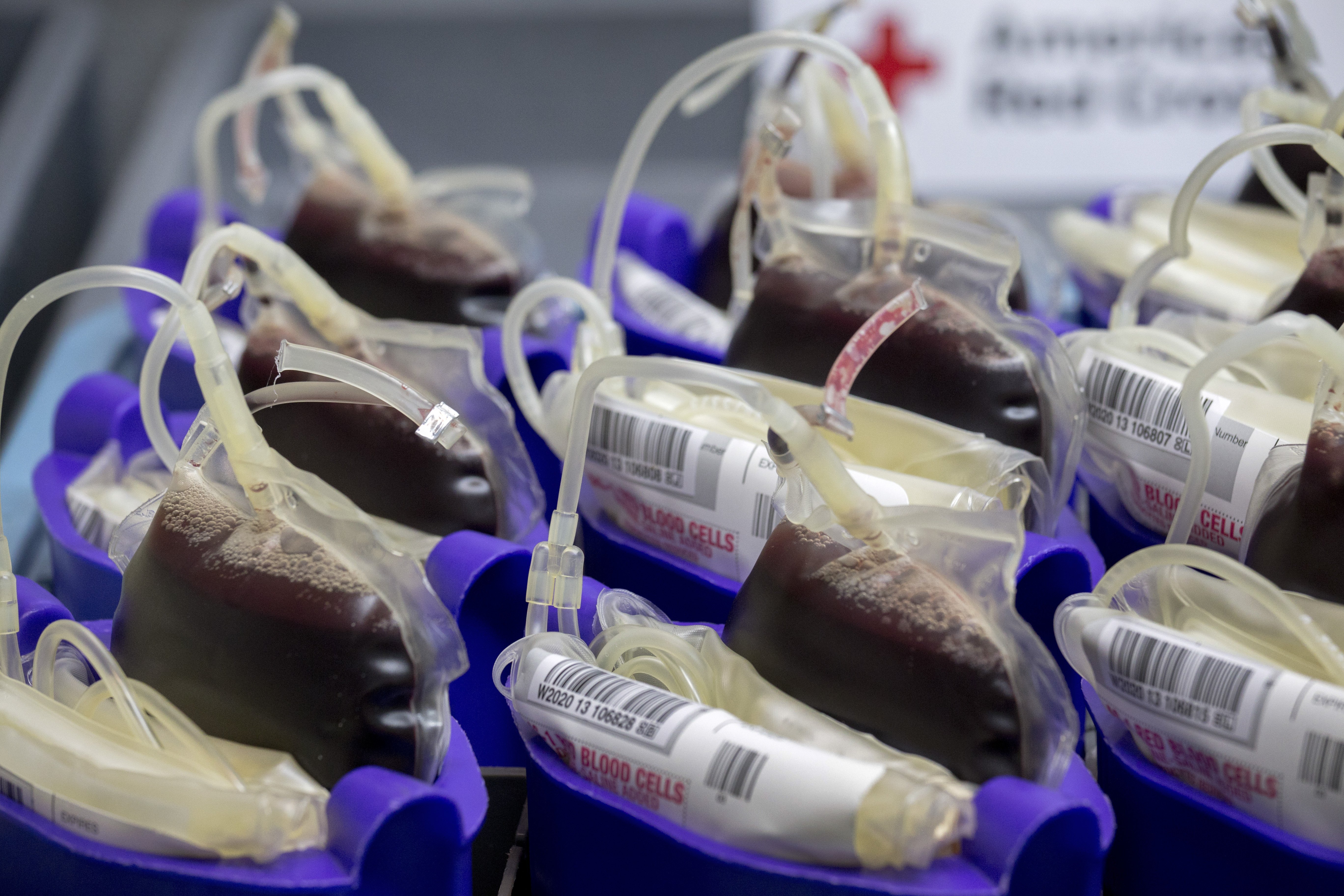 FDA lifts lifetime ban on gay men donating blood