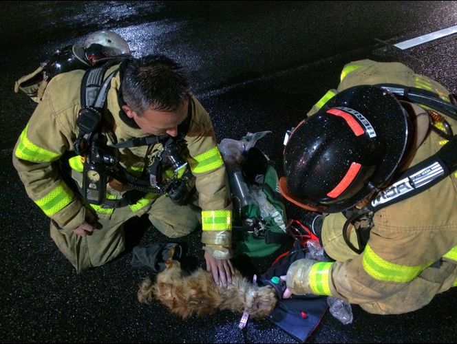Bomberos de UT rescatan a niña de 3 años y a su mascota de una casa en llamas
