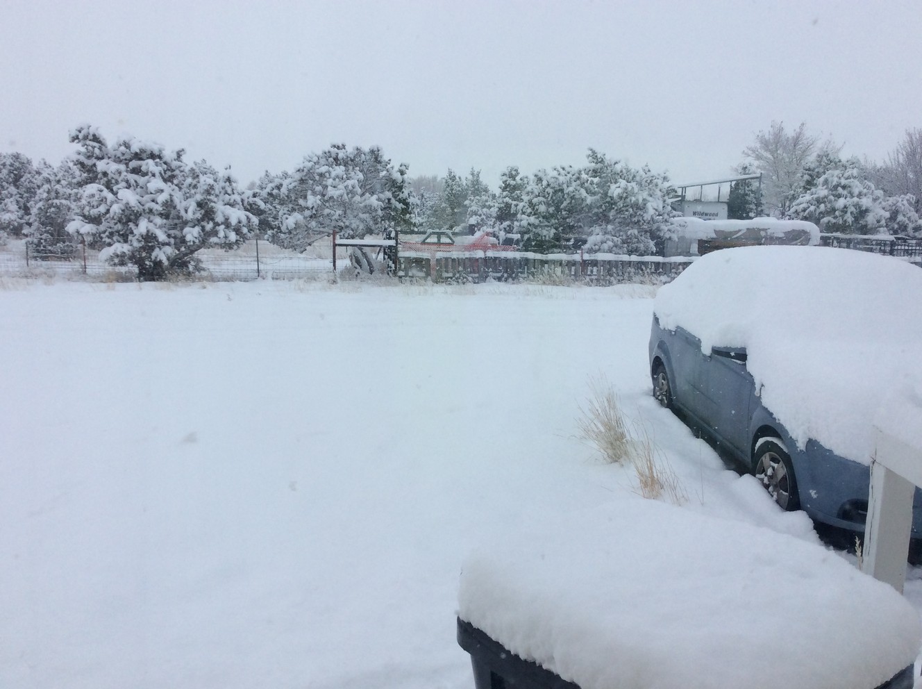 User submitted photos: A white Christmas