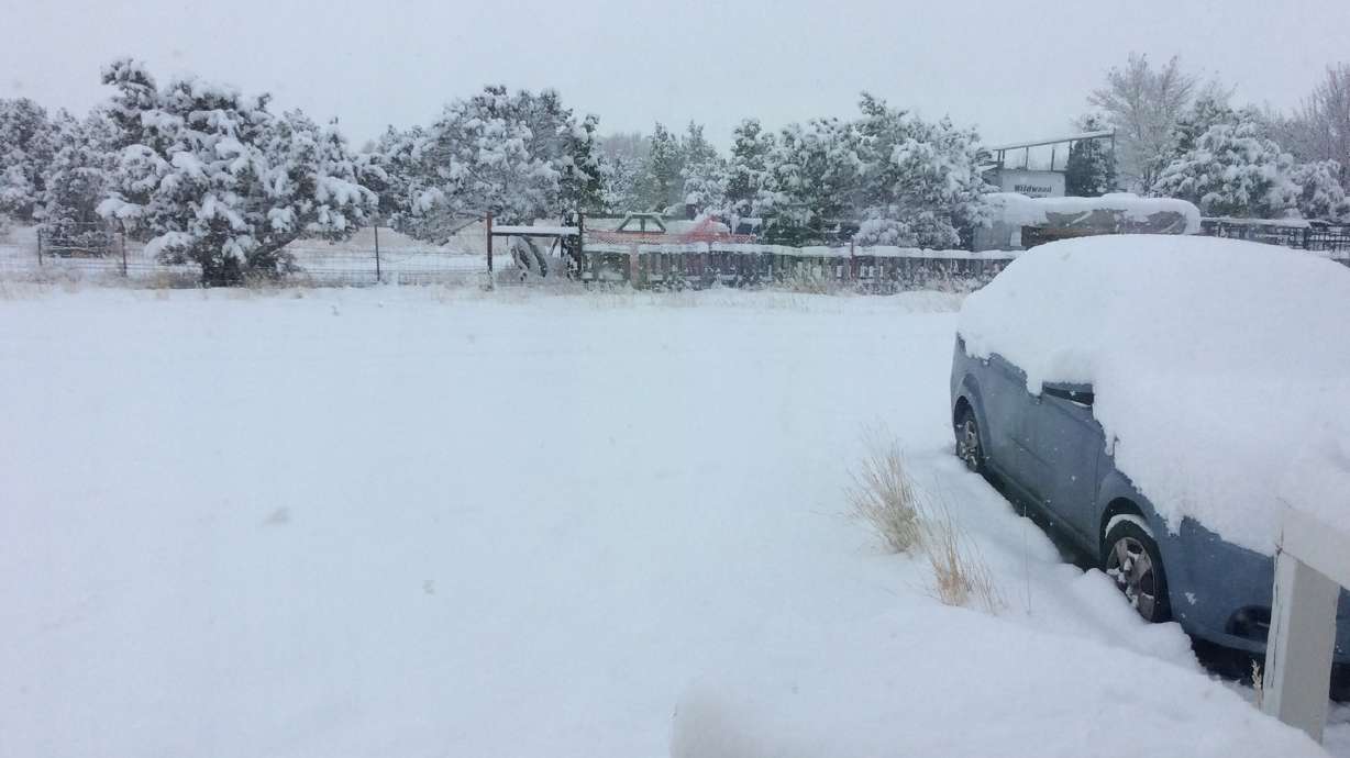 User submitted photos: A white Christmas