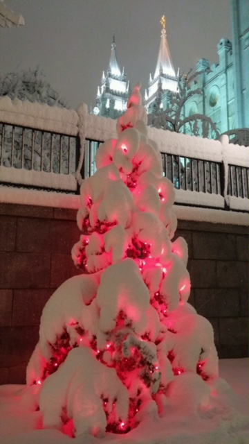 Photo credit: Robyn Salisbury