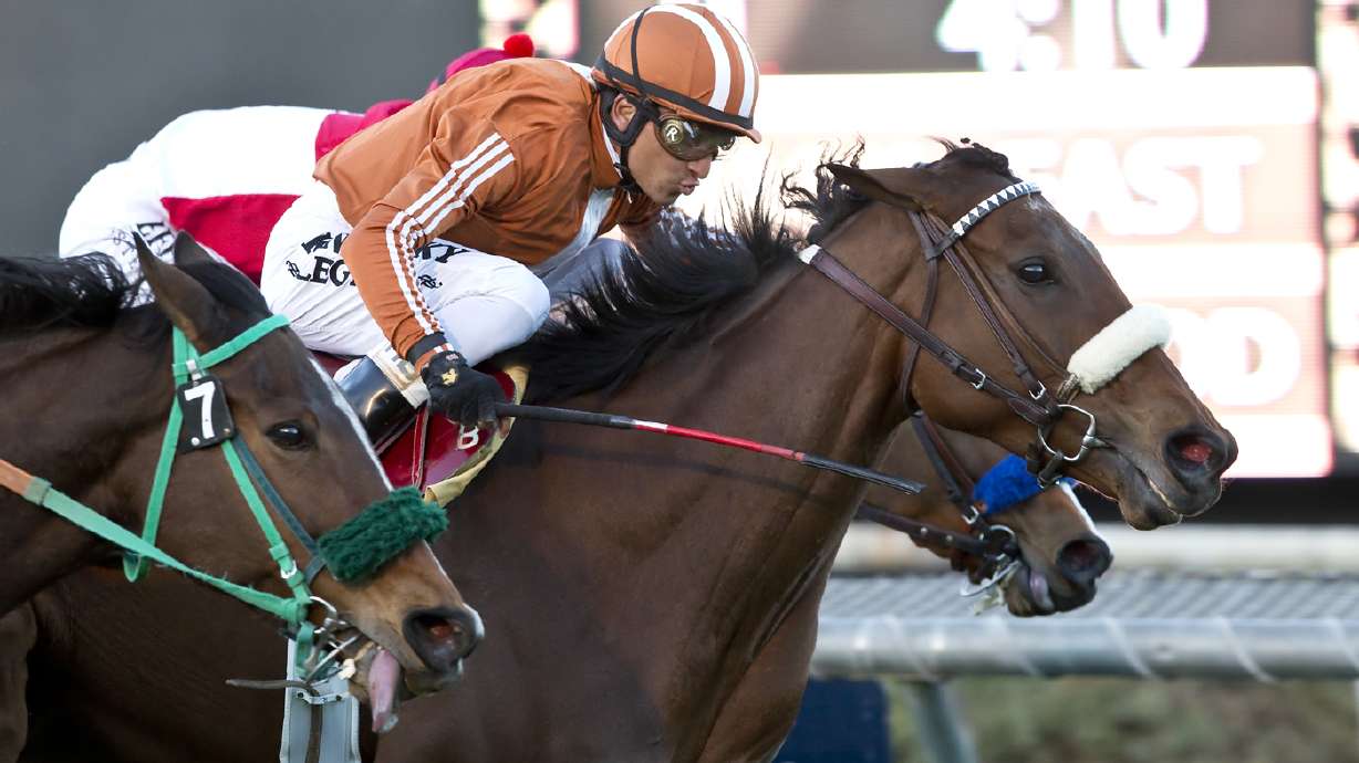Gender Agenda wins Robert Frankel Stakes at Santa Anita