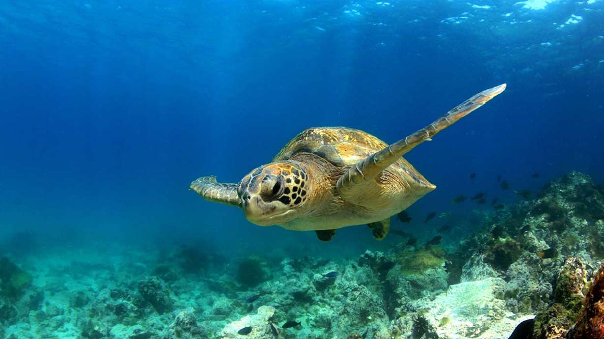 7 top adventure trips for 2016