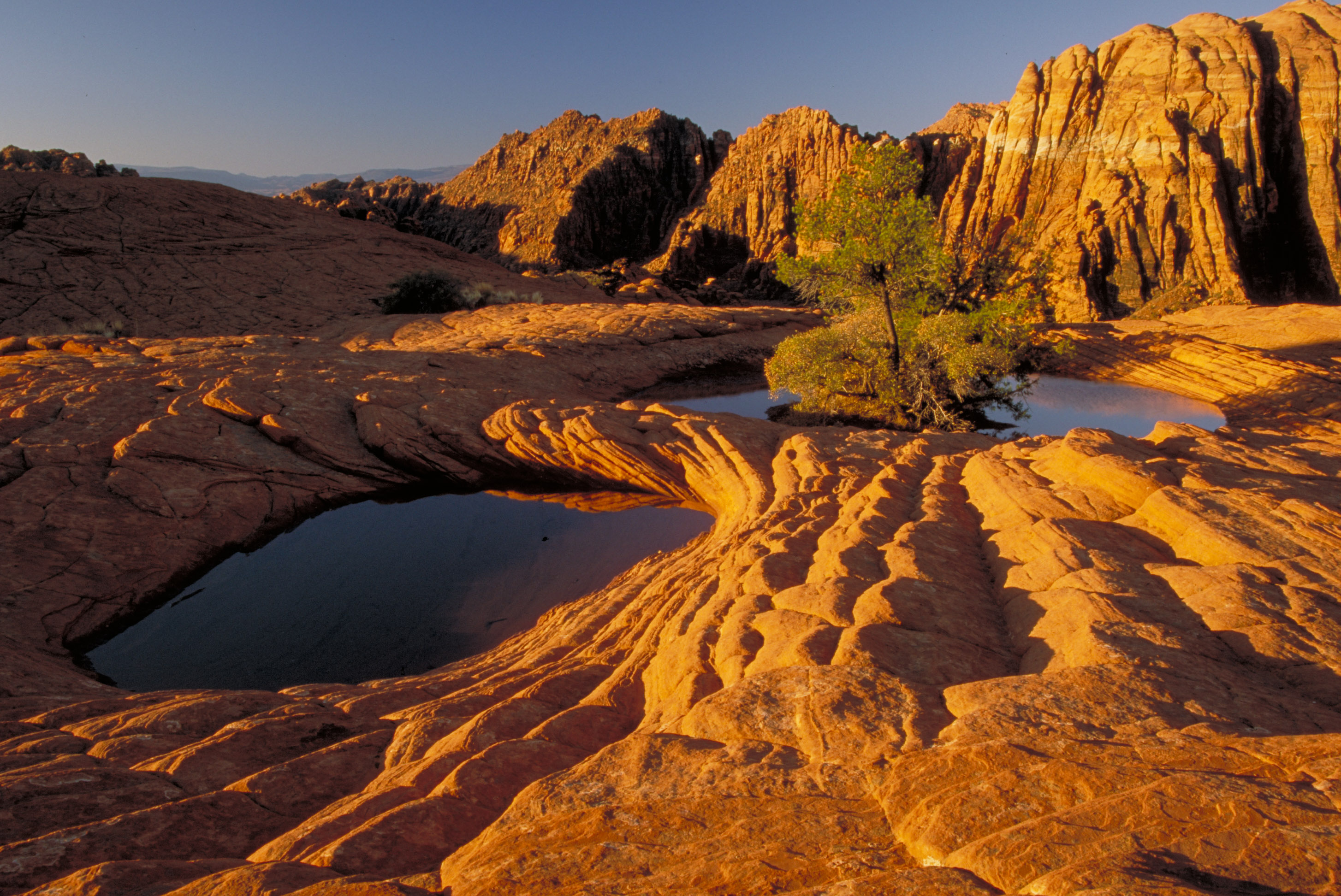 Snow Canyon State Park. Photo credit: Utah State Parks