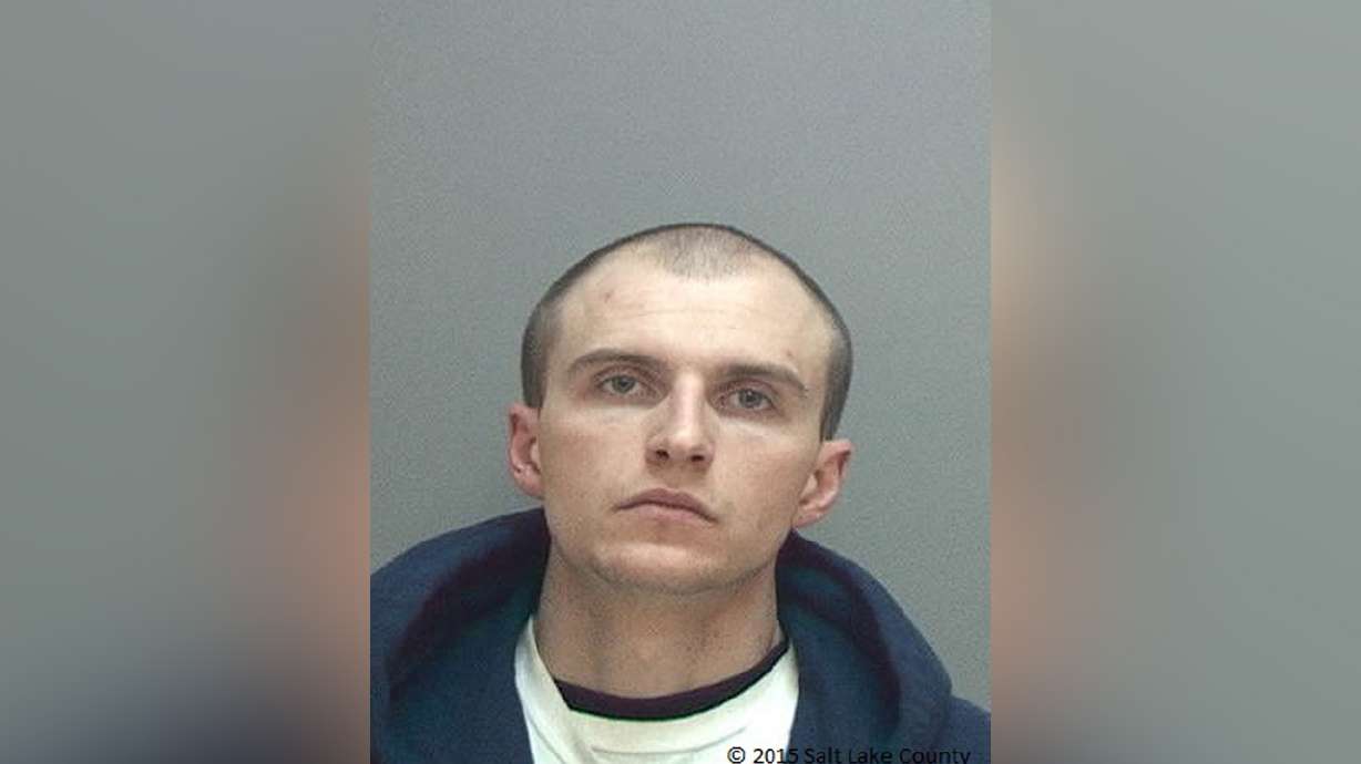 Man arrested after trying to hit police officer with car