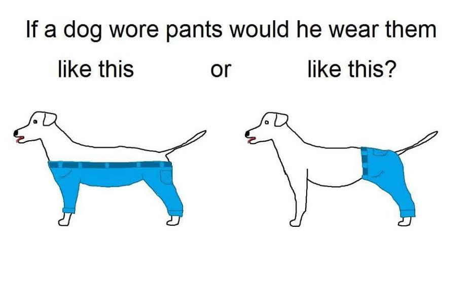 Doggie-pants debate blows up the Internet