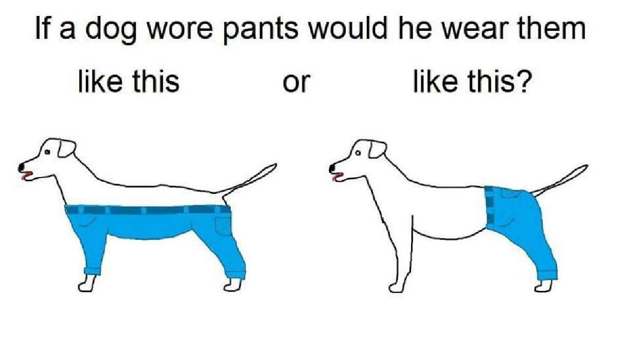 Doggie-pants debate blows up the Internet