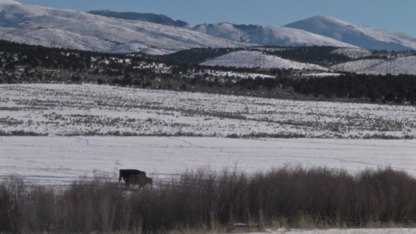 For rural Utah, the one doctor in town may be all who is available to help you feel better. Utah Rural Health Week highlights those health care workers in rural ares, hopefully shining a light on the need for more doctors and nurses in rural Utah.