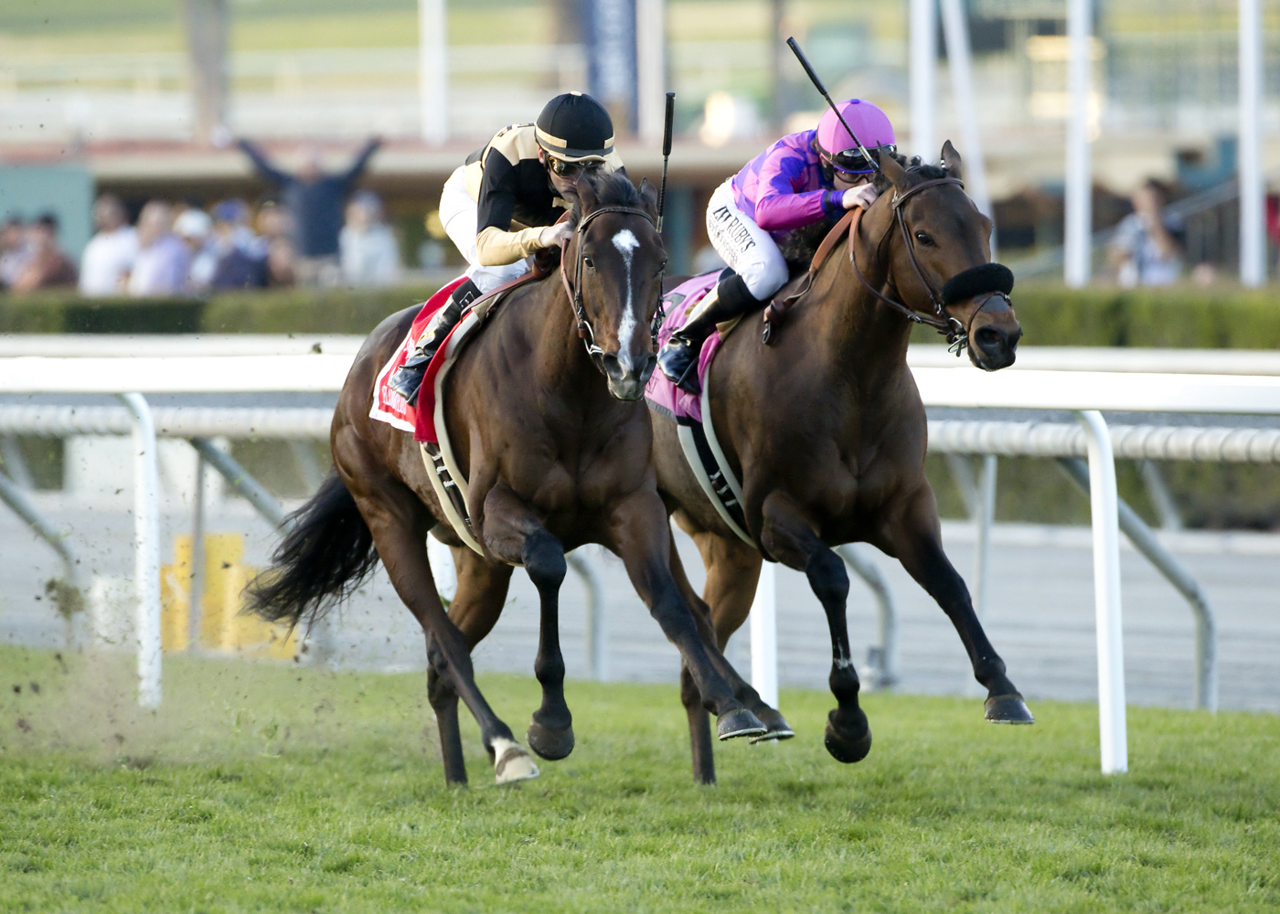 Forever Darling wins Grade 2 Santa Ynez at Santa Anita