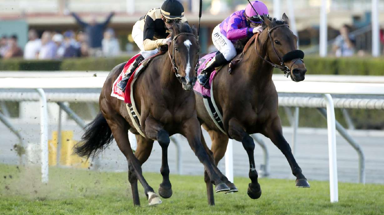 Forever Darling wins Grade 2 Santa Ynez at Santa Anita