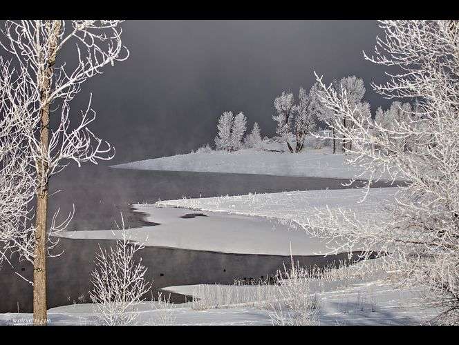 Photo Submitted by Wesley Aston